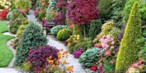 Jak používat keře v krajině design chaty